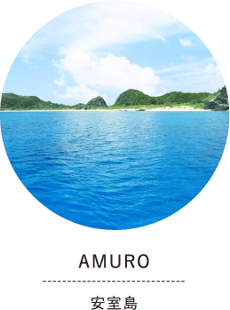 AMURO 安室島