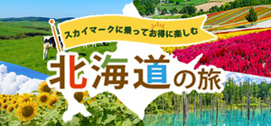 スカイマークに乗ってお得に楽しむ北海道の旅