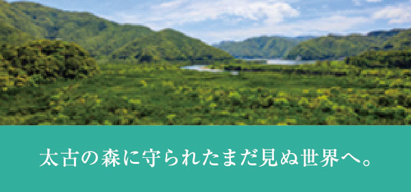 太古の森に守られたまだ見ぬ世界へ。