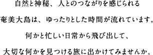 自然と神秘、人とのつながりを感じられる奄美大島は、ゆったりとした時間が流れています。何かと忙しい日常から飛び出して、大切な何かを見つける旅に出かけてみませんか。