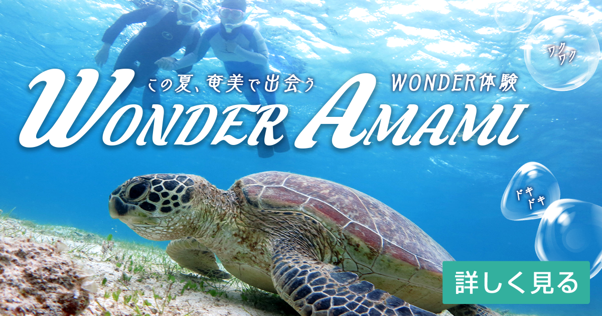 この夏、奄美で出会うWONDER体験　WONDER AMAMI