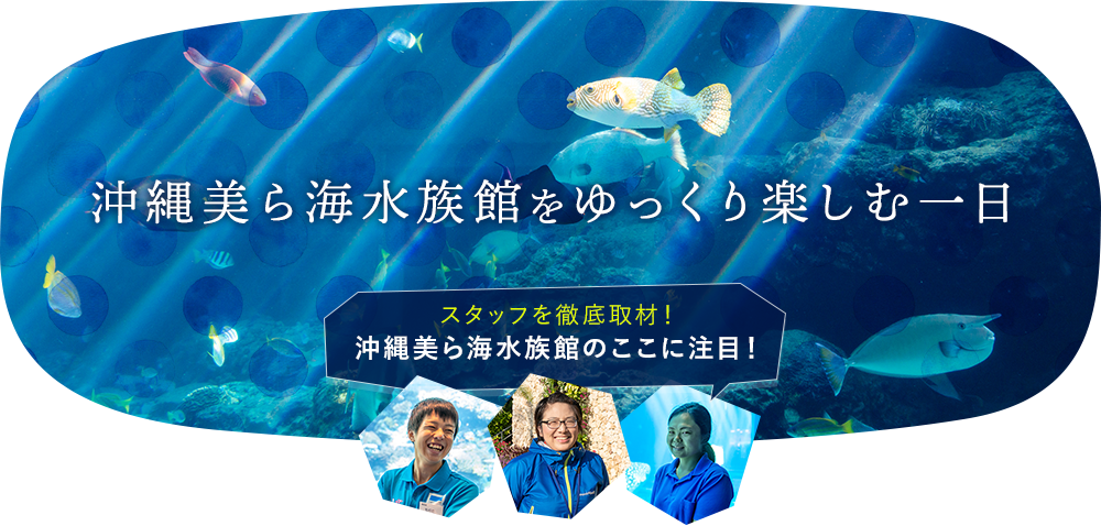 沖縄美ら海水族館をゆっくり楽しむ一日