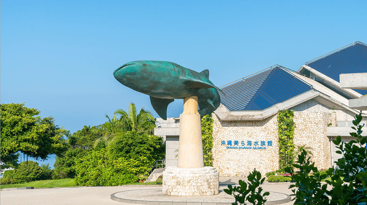 海 水族館 ちゅら