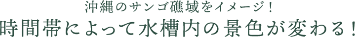 沖縄のサンゴ礁域をイメージ！時間帯によって水槽内の景色が変わる！