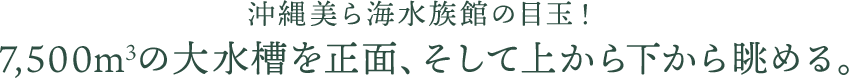 沖縄美ら海水族館の目玉！7,500m3の大水槽を正面、そして上から下から眺める。