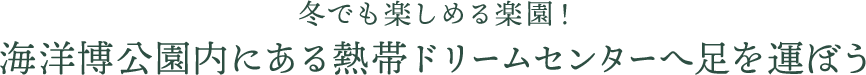 冬でも楽しめる楽園！海洋博公園内にある、熱帯ドリームセンターへ足を運ぼう