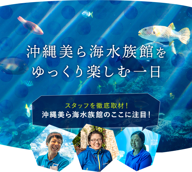 沖縄美ら海水族館をゆっくり楽しむ一日