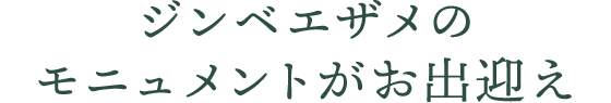 ジンベエザメのモニュメントがお出迎え