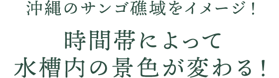 沖縄のサンゴ礁域をイメージ！時間帯によって水槽内の景色が変わる！