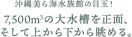 沖縄美ら海水族館の目玉！7,500m3の大水槽を正面、そして上から下から眺める。