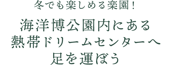 冬でも楽しめる楽園！海洋博公園内にある、熱帯ドリームセンターへ足を運ぼう