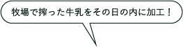 新鮮でおいしいジェラート。