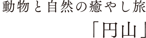 動物と自然の癒やし旅「円山」