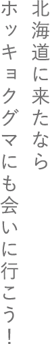 北海道に来たならホッキョクグマにも会いに行こう！