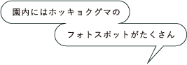 園内にはホッキョクグマのフォトスポットがたくさん