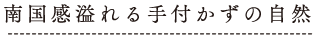 南国感溢れる手付かずの自然