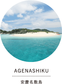 AGENASHIKU 安慶名敷島