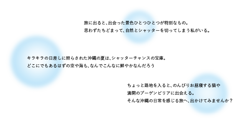 私の沖縄さんぽ たちどまりアルバム