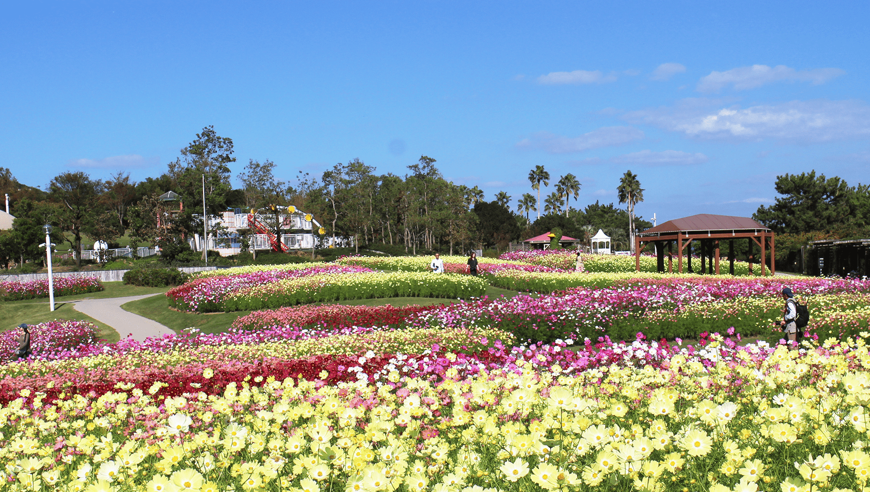 01.パノラマの絶景！ 四季折々の花の咲く丘へ