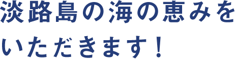 淡路島の海の恵みをいただきます！