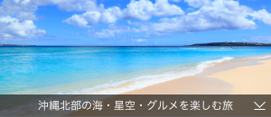 沖縄北部の海・星空・グルメを楽しむ旅