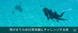 飛びきりの非日常体験にチャレンジする旅