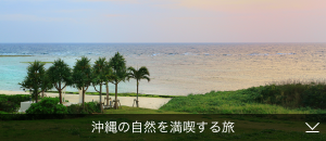 沖縄の自然を満喫する旅