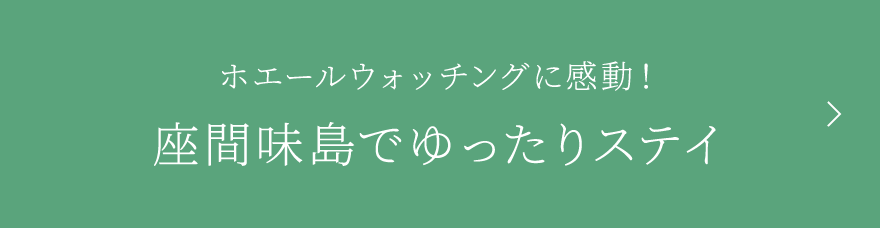 ホエールウォッチングに感動！座間味島でゆったりステイ