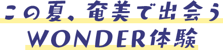 この夏、奄美で出会うWONDER体験