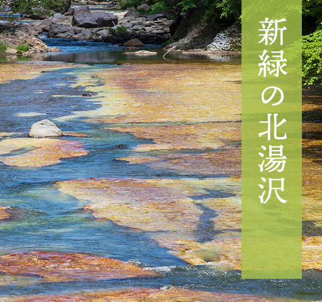 新緑の北湯沢