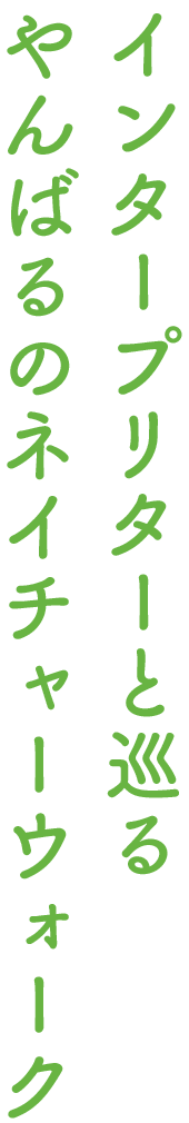 インタープリターと巡るやんばるのネイチャーウォーク