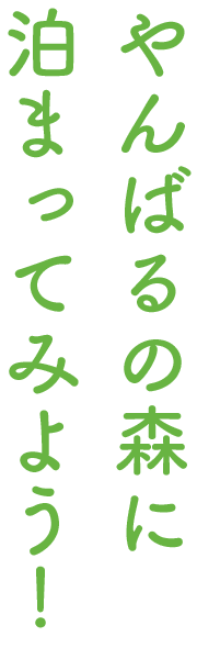 やんばるの森に泊まってみよう！