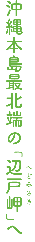 沖縄本島最北端の「辺戸岬（へどみさき）」へ