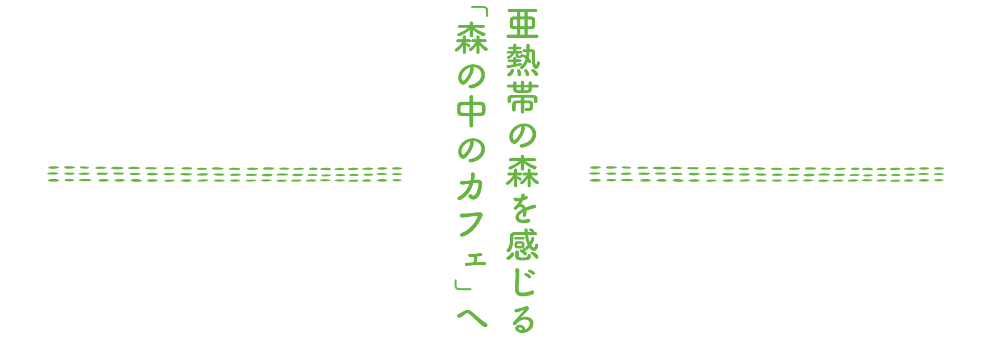 亜熱帯の森を感じる「森の中のカフェ」へ