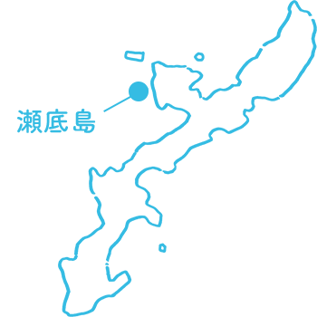 瀬底島