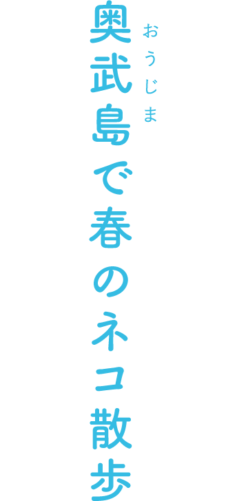 奥武島で春のネコ散歩