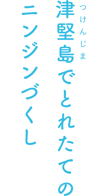 津堅島でとれたてのニンジンづくし