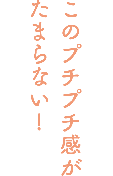 このプチプチ感がたまらない!