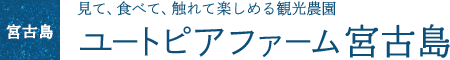 見て、食べて、触れて楽しめる観光農園 ユートピアファーム宮古島