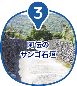 阿伝のサンゴ石垣