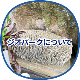 ジオパークについて