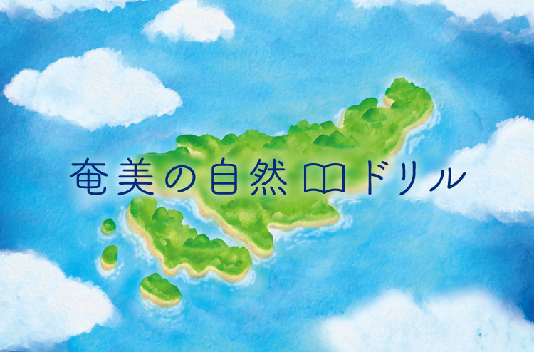奄美の自然ドリル