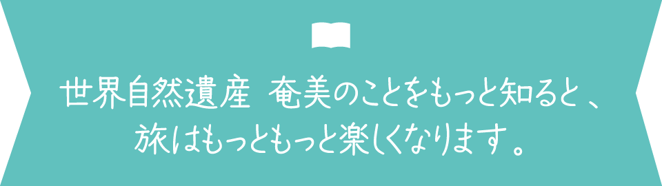 世界自然遺産 奄美のことをもっと知ると旅はもっともっと楽しくなります。