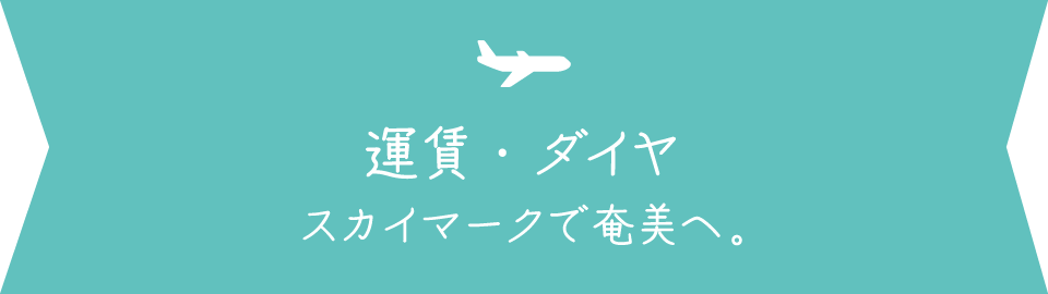 「運賃・ダイヤ」スカイマークで奄美へ。