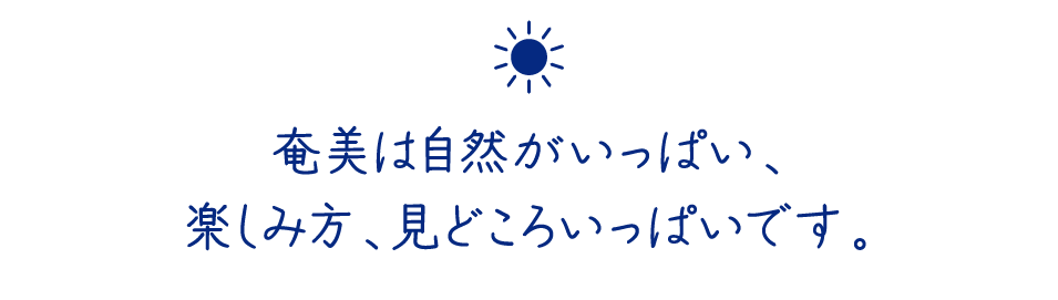 奄美は自然がいっぱい、楽しみ方、見どころいっぱいです。