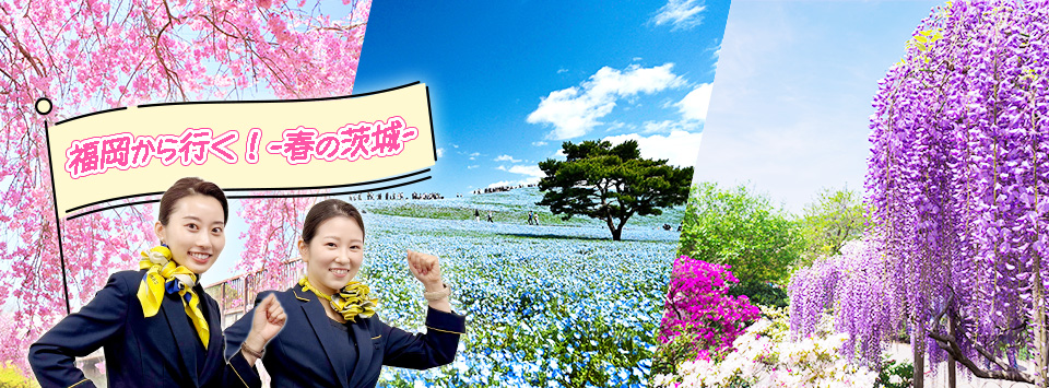 福岡から行く！春の茨城