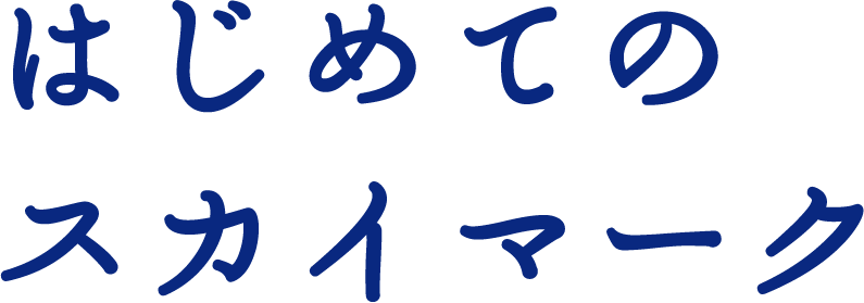 はじめてのスカイマーク