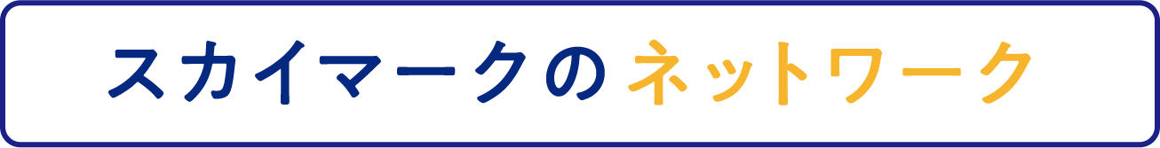 スカイマークのネットワーク