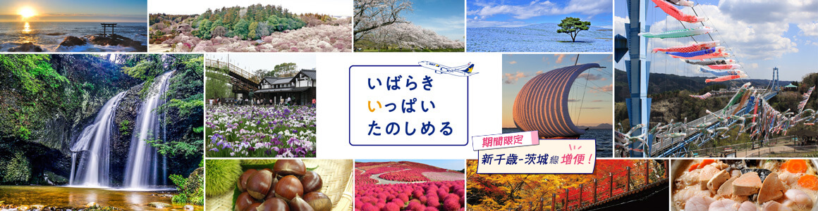 いばらきいっぱいたのしめる【期間限定】新千歳ー茨城線 増便！