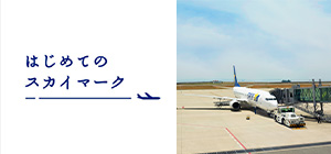 はじめてのスカイマーク